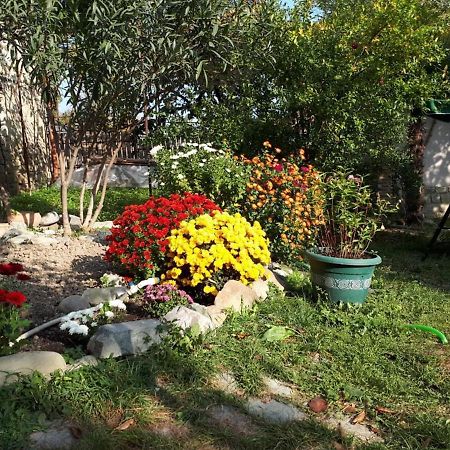 Old House Apartment With Garden Area Mtsʼkhetʼa 外观 照片