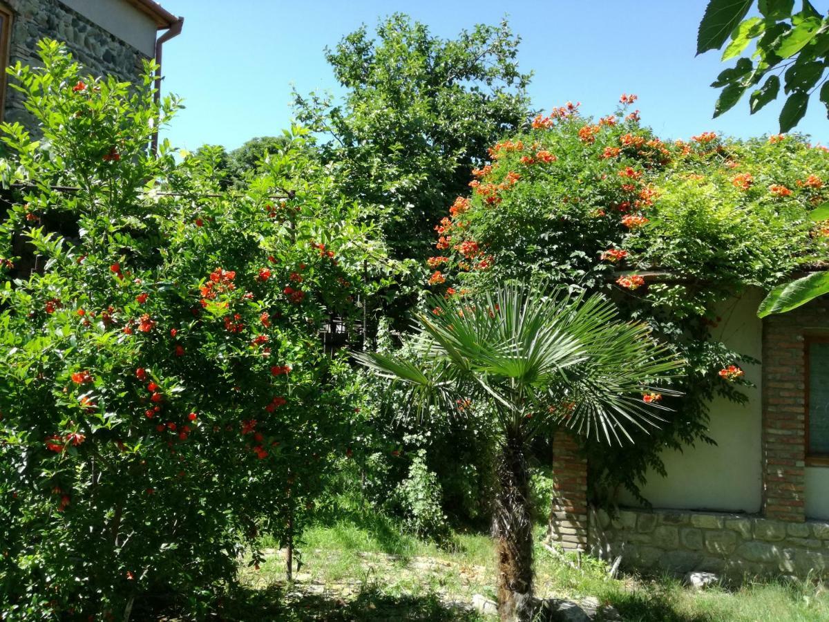 Old House Apartment With Garden Area Mtsʼkhetʼa 外观 照片